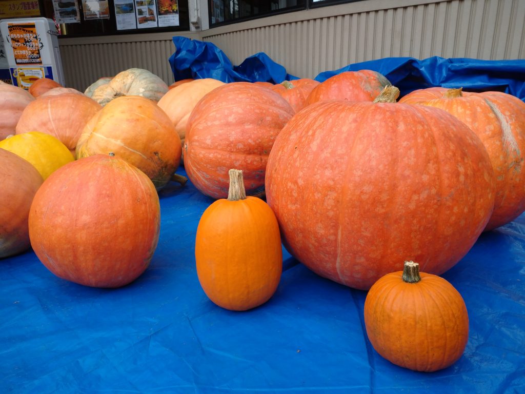 ハロウィンかぼちゃ陳列販売中 道の駅なんごう 青森県八戸市南郷 ハロウィンかぼちゃ陳列販売中 道の駅なんごう 青森県八戸市南郷